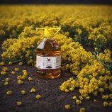musturdoil-5litre